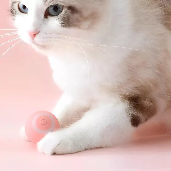 Zabawka interaktywna dla kota smart moving