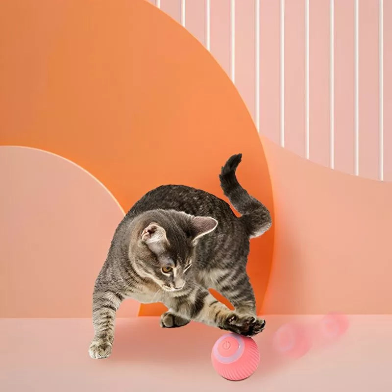 Zabawka interaktywna dla kota smart moving